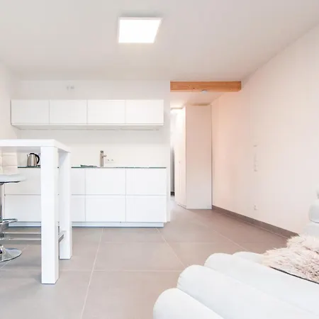 Hotel apartamentowy Brenzapartments Giengen 3*